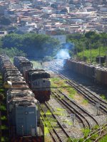 VLI 4816